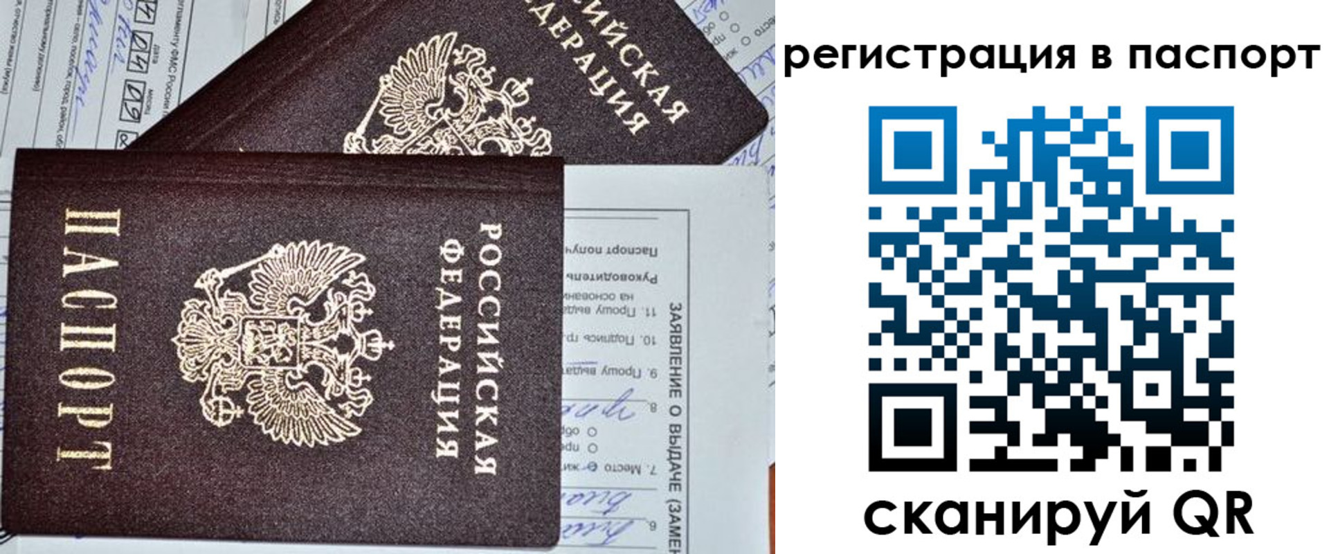 прописка законно в Касимове
